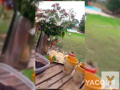Casa Monoambiente con 1 baño