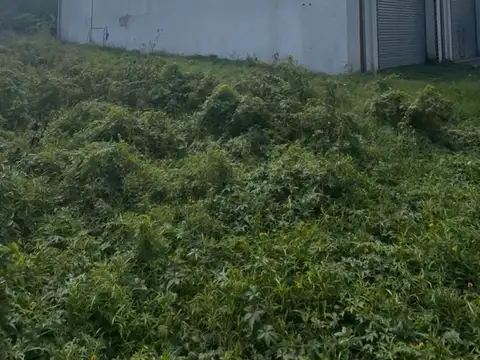 VENTA DE 2 LOTES JUNTOS EN FORMA DE L EN TOTAL 679MTS2