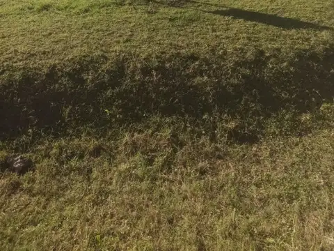 Terreno - Venta - Argentina, NOGOYA - 25 DE MAYO SN