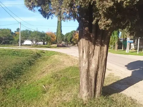 Terreno en Venta 7  mts Fondo