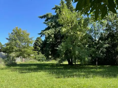 Terreno en Venta de 1300,0 m2