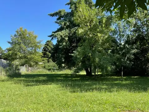 Terreno en Venta de 1300,0 m2