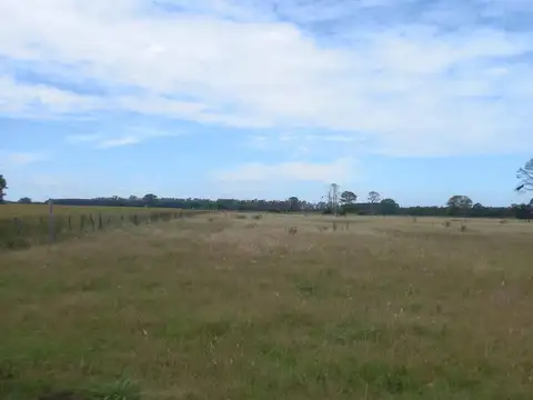 VENTA excelente campo de 75 Hectáreas en ubicación privilegiada en CHENAUT