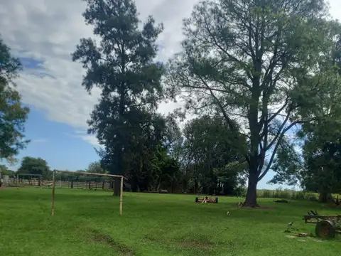 VENTA excelente campo de 75 Hectáreas en ubicación privilegiada en CHENAUT