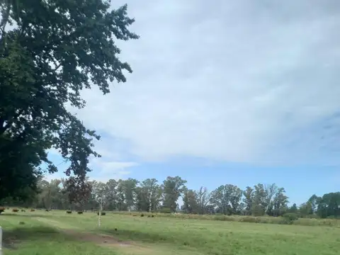VENTA excelente campo de 75 Hectáreas en ubicación privilegiada en CHENAUT