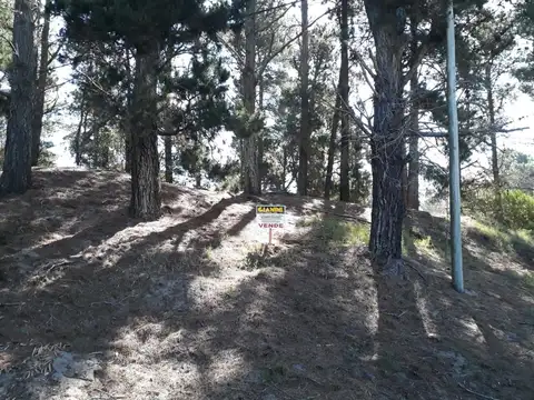 Terreno - Venta - Argentina, Mar de las Pampas