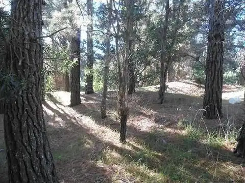 Terreno en Venta en Alfalad, USD 48.000