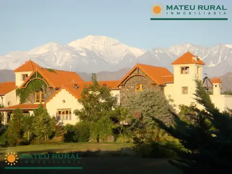 6 Has. Finca en Las Compuertas con casco de más de 1000 m2.