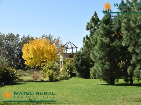 Campo en Venta de 6  ha