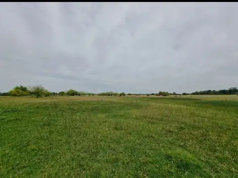 Campo - General Rodriguez