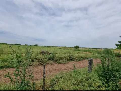 Campo - General Rodriguez