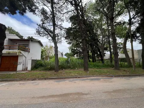 LOTE EN SAN BERNARDO 