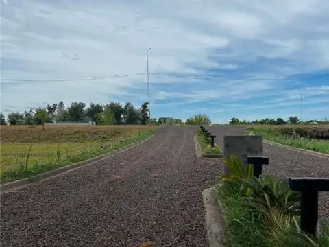 TERRENOS/FRACCIONES/LOTEOS - LOTEOS - COLONIA BENÍTEZ