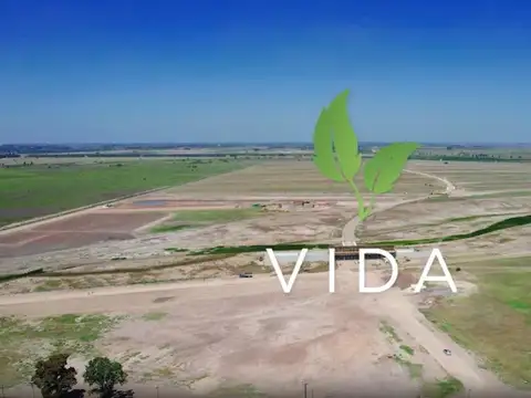 Avenida Arturo Illia  99