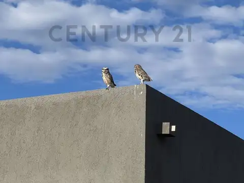 LA PISTA 1200, Piso 0