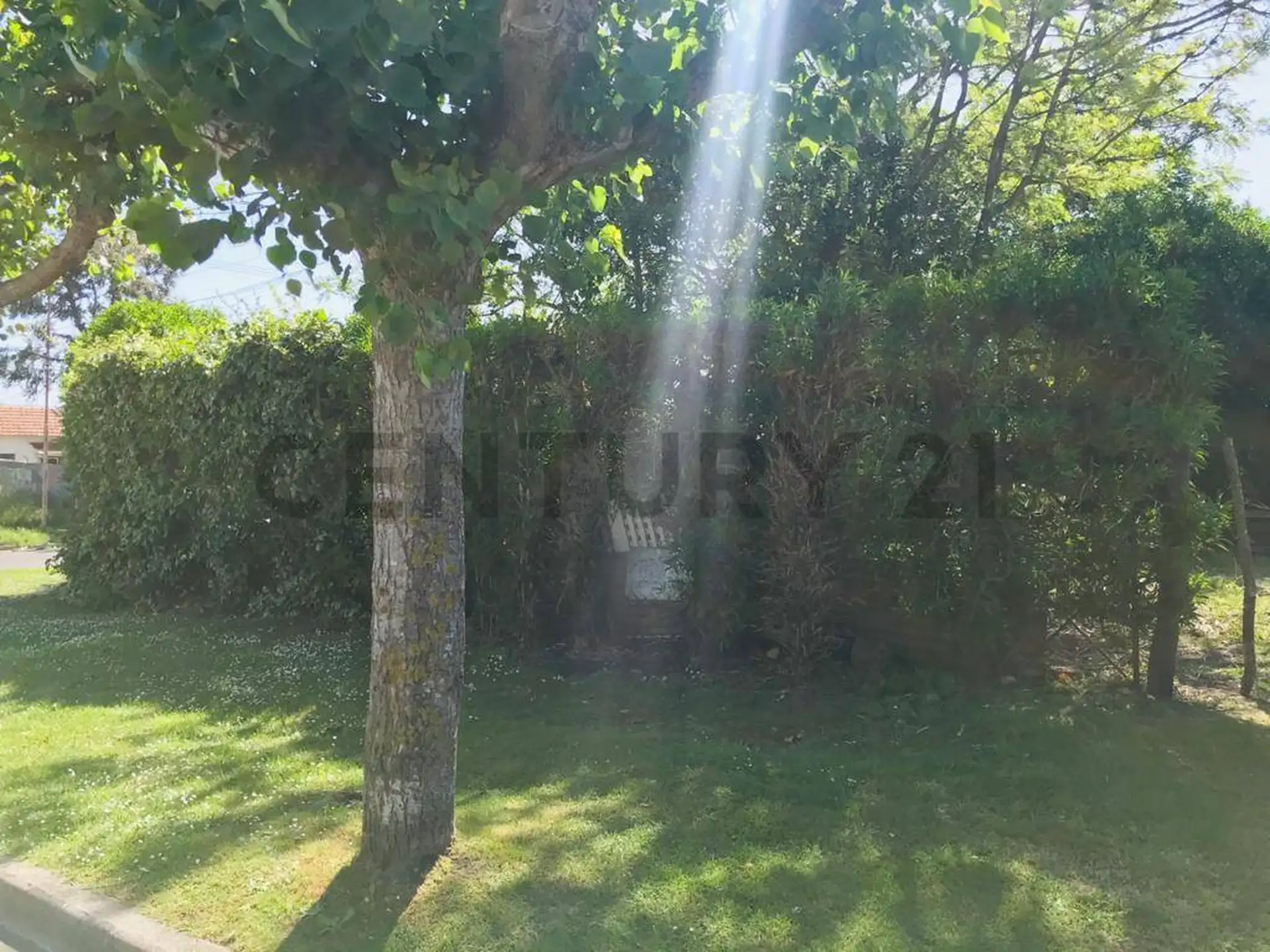 LOTE EN VENTA ZONA BARRIO SAN CARLOS ID 20078