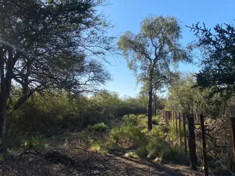 Lotes en Cruz de Caña a minutos de Merlo - San Luis