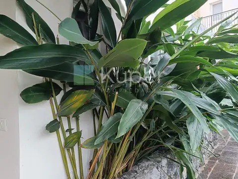 Casa  en Venta en Ayres Plaza, Pilar, G.B.A. Zona Norte