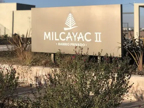 Vieytes 100