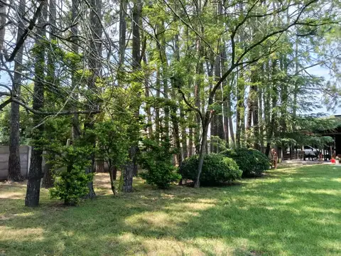 Los Molinos 2100
