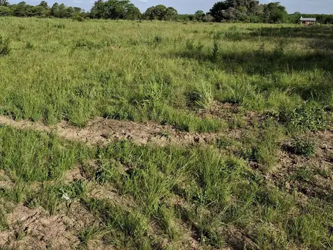 Fracción de 5 Has. en  Manzanares