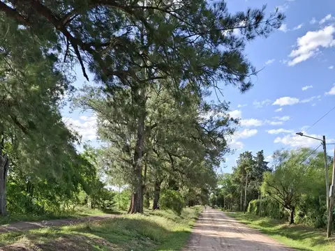  Fracción de 5 Has. en  Manzanares 