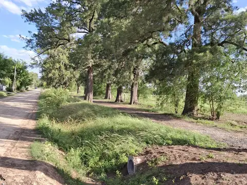 Manzanares Centro lote/fracción