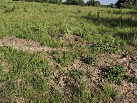 Terreno en Venta en Manzanares, USD 370.000