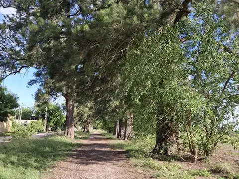 Terreno en Venta en Manzanares, USD 370.000