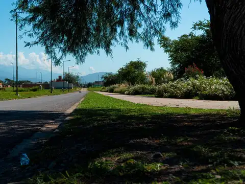 Via Aurelia Primeras Manzanas