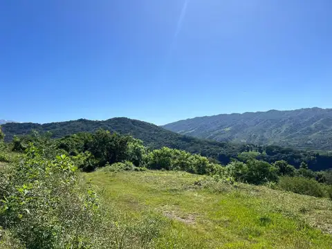 San Lorenzo. La Hoyada de Castellanos. Lote 100