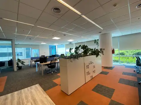 ALQUILER OFICINA 9 AMB AL RIO 557M2 PROA VTE.LOPEZ