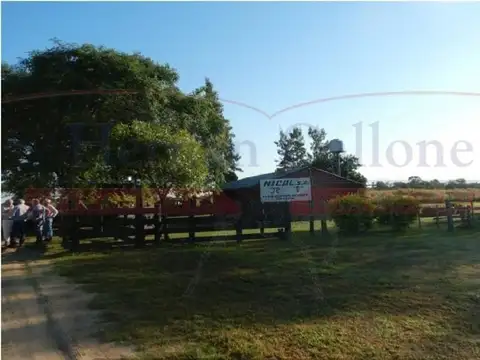 EXCELENTE CAMPO GANADERO DE 14.000 HAS EN PATIÑO, FORMOSA