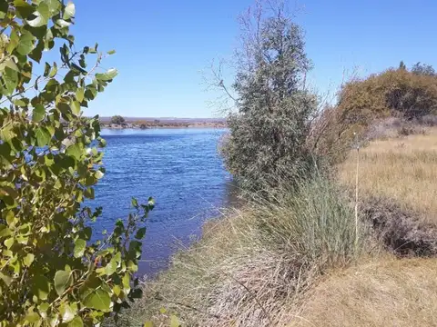Ruta 22