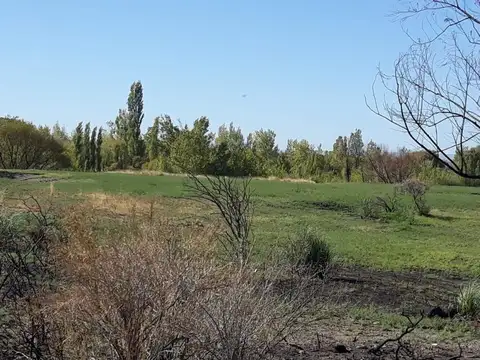 Ruta 22