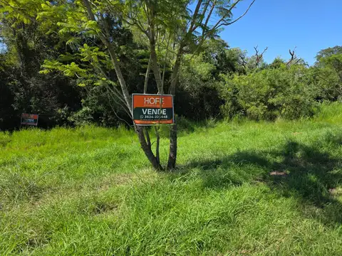 Terreno en  Venta Sobre Acceso Principal Colonia Benitez