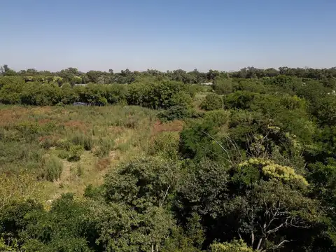 Venta Hectáreas en Villa Elisa