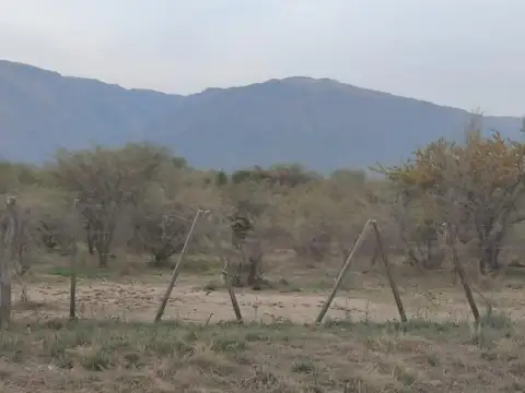 Terreno en Venta en Los Molles, Belgrano