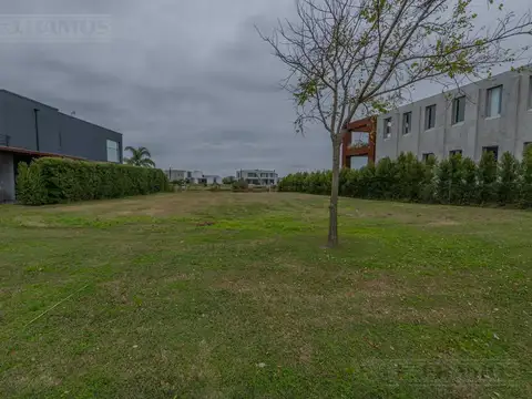 Terreno en Venta 16  mts Fondo