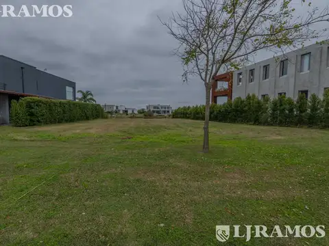 Terreno en Venta 16  mts Fondo