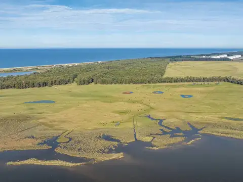 Chacra en venta de 15 Has. sobre Laguna José Ignacio