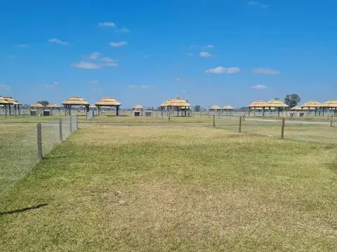 Fincas Don Eugenio 2