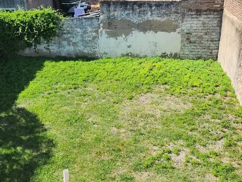 potosí al 100