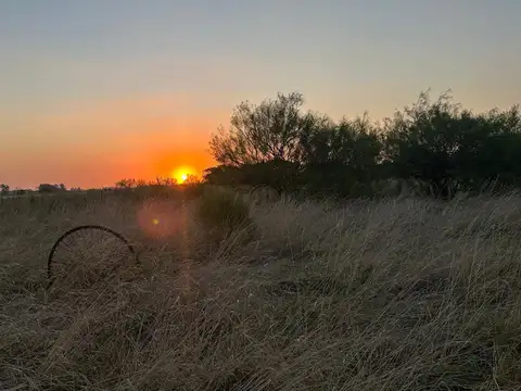 Venta -  Venta Chacra de 12,5 Ha con Casa - Zona Las Chacras - Lobos