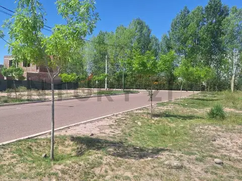 BARRIO GARDENS , Piso 0