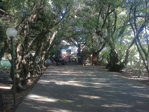 Quinta en Venta de 3 dormitorios