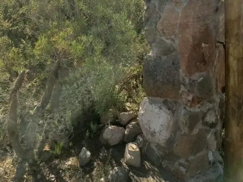 Ruta Panamericana