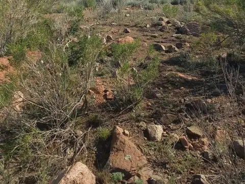 Terreno en Venta de 2170,0 m2