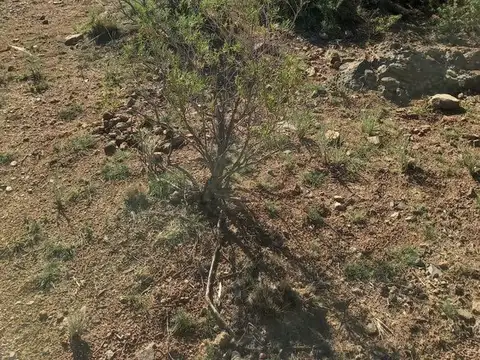 Terreno en Venta en Las Compuertas, USD 15.000