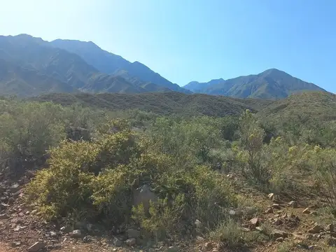 Ruta Panamericana
